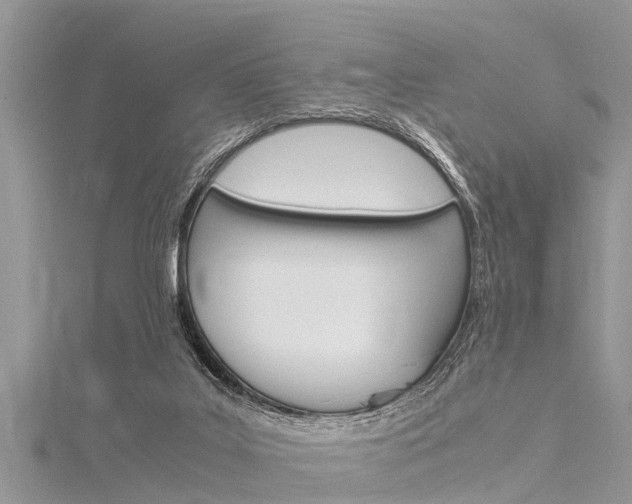 X0000116120019200911230940