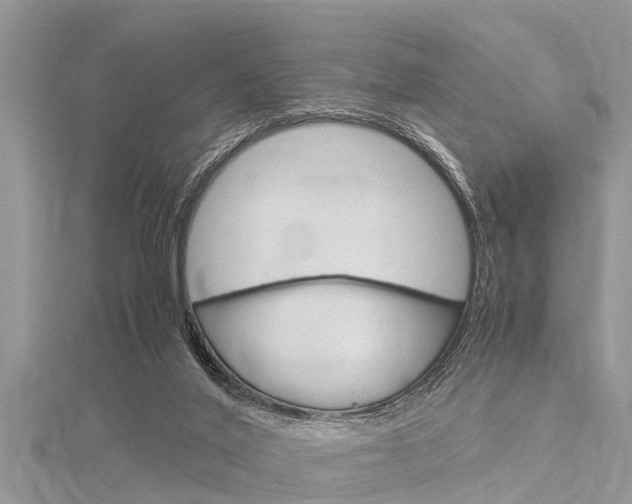 X0000116120020200911230940