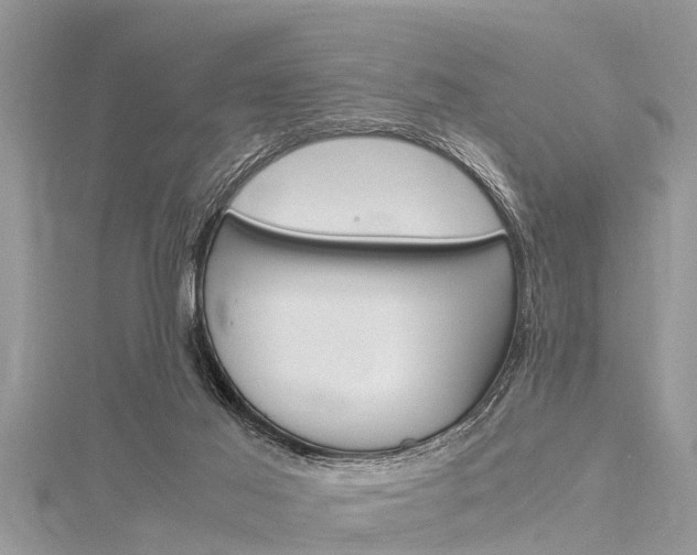 X0000116120021200911230940