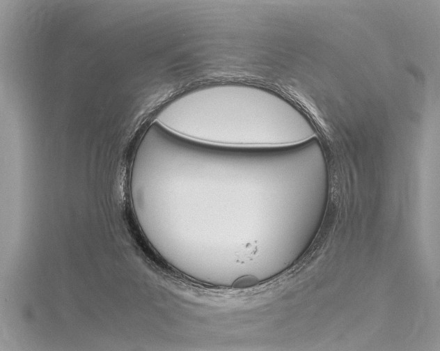 X0000116120023200911230940