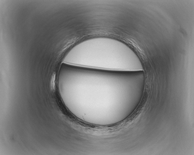 X0000116120024200911230940