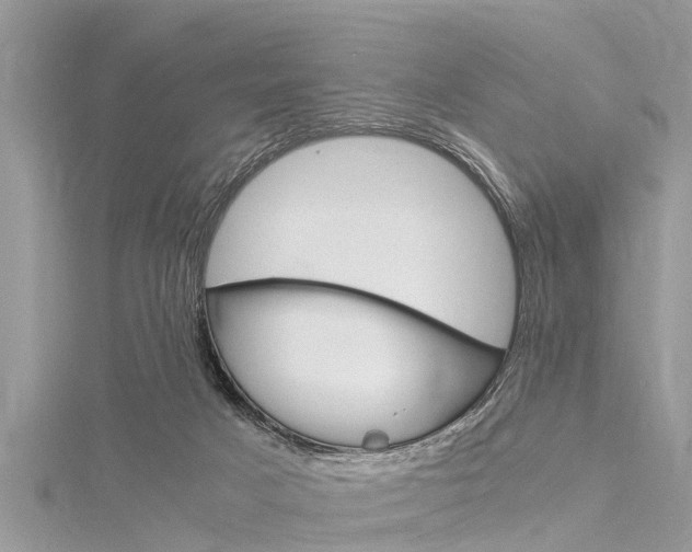 X0000116120025200911230940