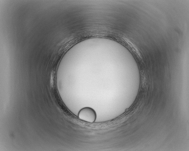 X0000116120026200911230940