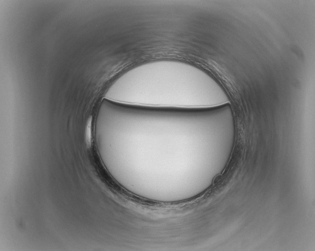 X0000116120028200911230940