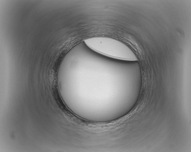 X0000116120029200911230940