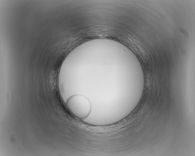 X0000116120030200911230940