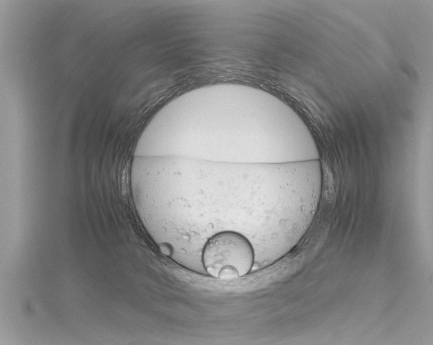 X0000116120034200911230940