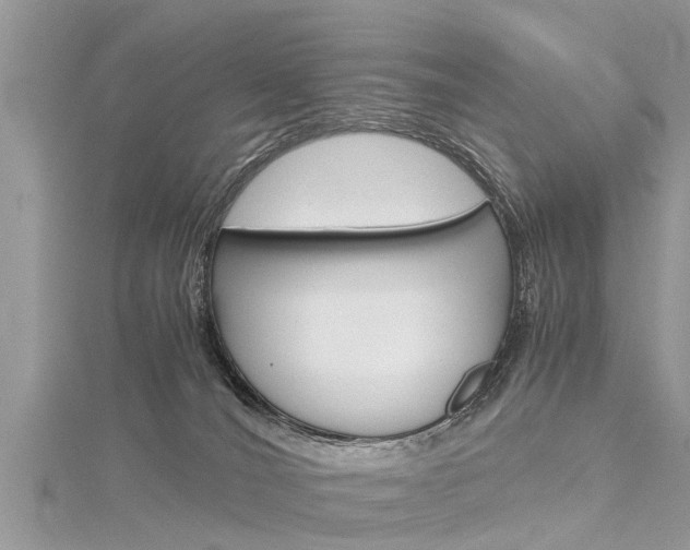 X0000116120036200911230940