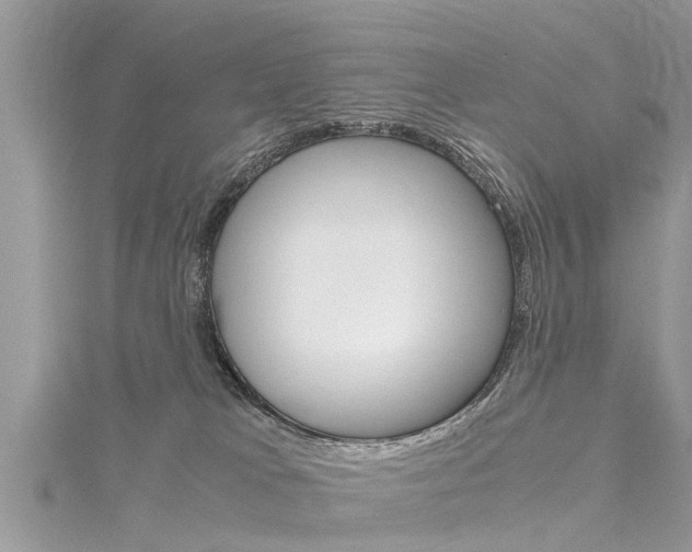 X0000116120037200911230940