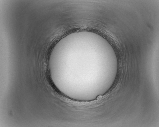 X0000116120039200911230940