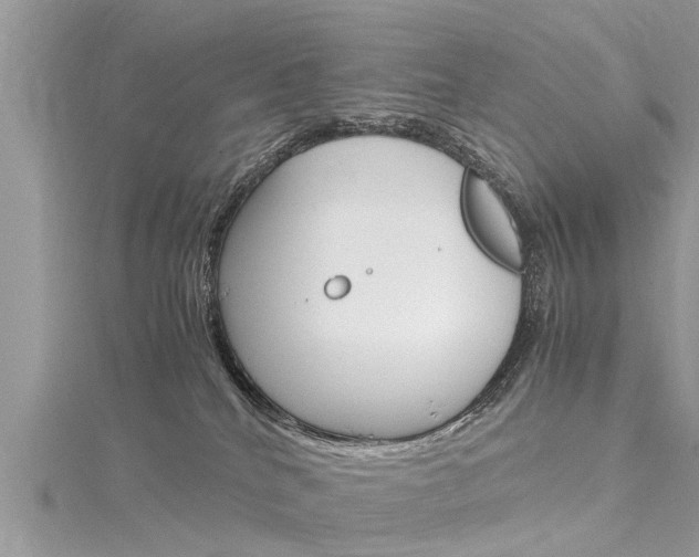 X0000116120040200911230940