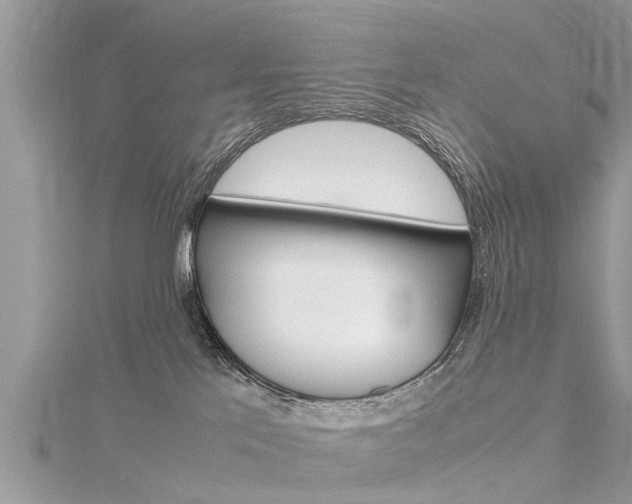 X0000116120041200911230940