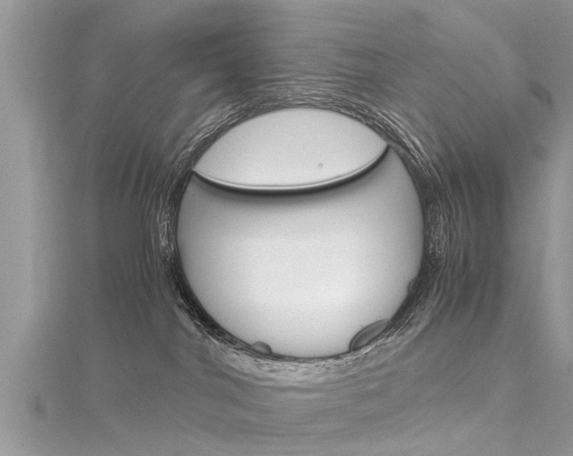 X0000116120044200911230940