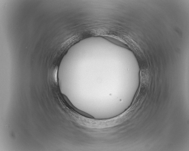 X0000116120047200911230940