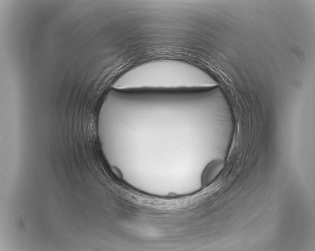 X0000116120048200911230940