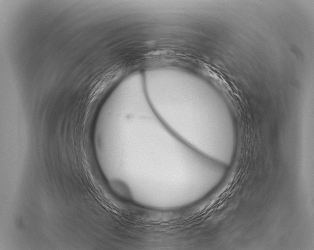 X0000116120049200911230939