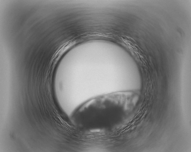 X0000116120050200911230939