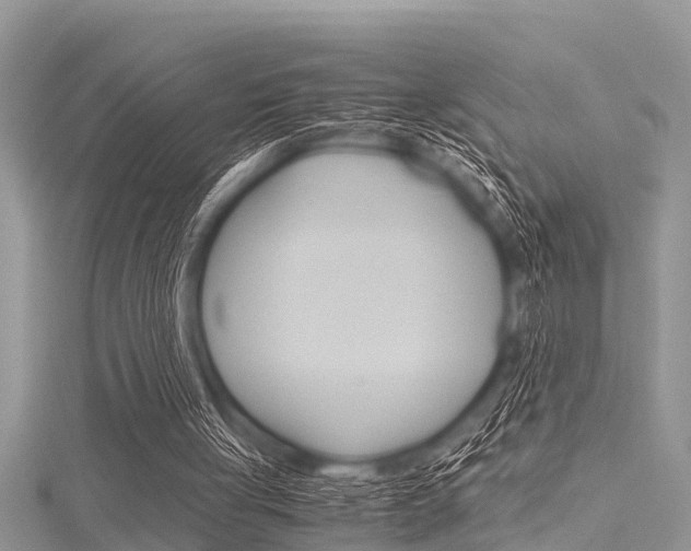 X0000116120051200911230939