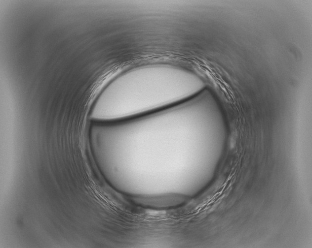 X0000116120052200911230939