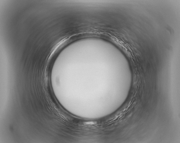 X0000116120053200911230939