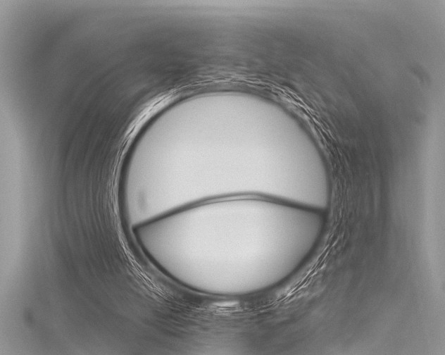 X0000116120054200911230939