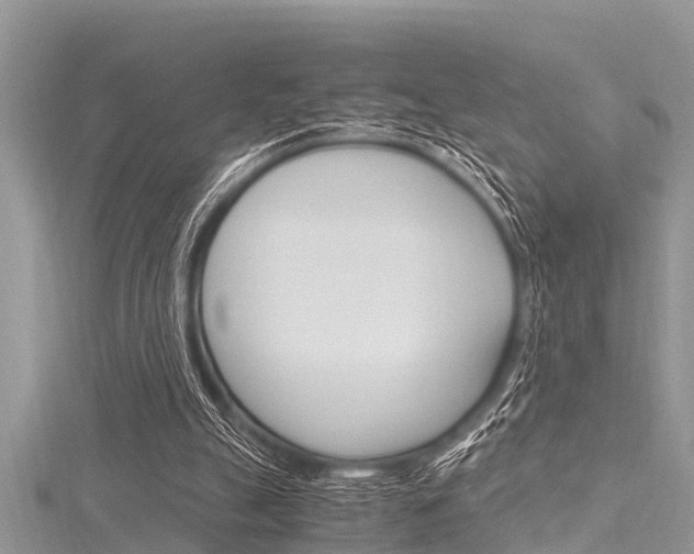 X0000116120055200911230939