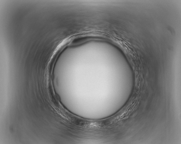 X0000116120056200911230939