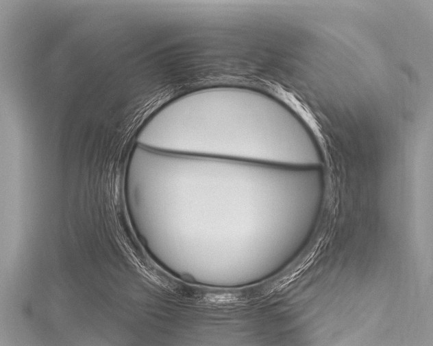 X0000116120057200911230939