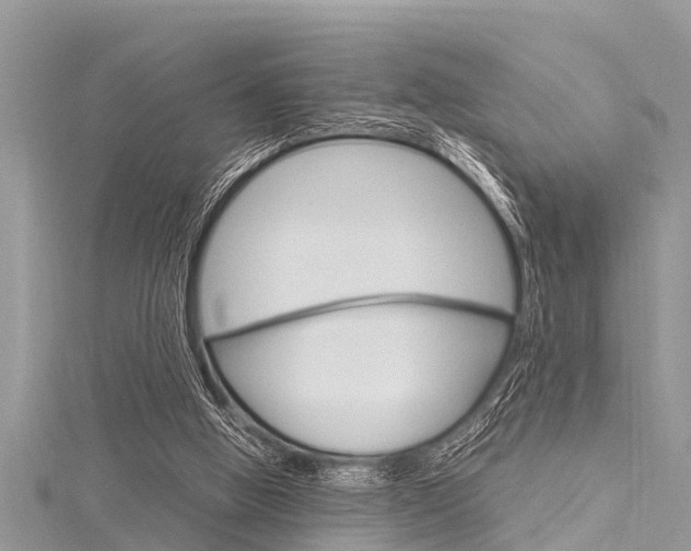 X0000116120058200911230939