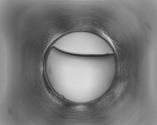 X0000116120059200911230939