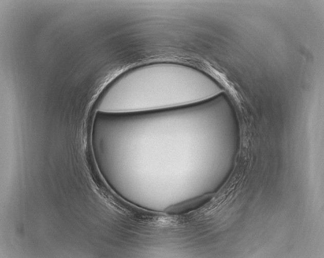 X0000116120060200911230939