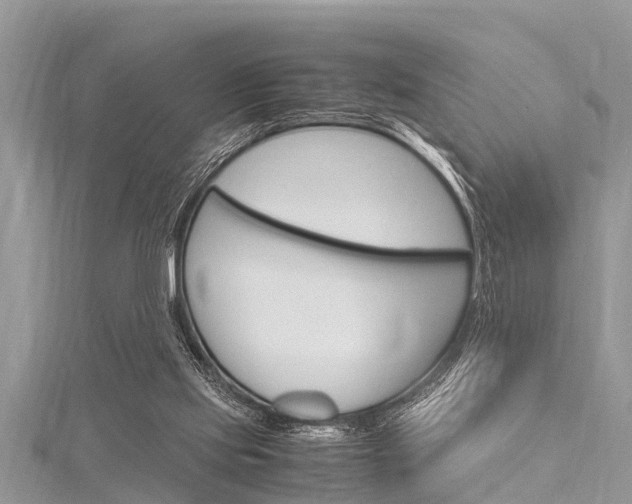 X0000116120061200911230939