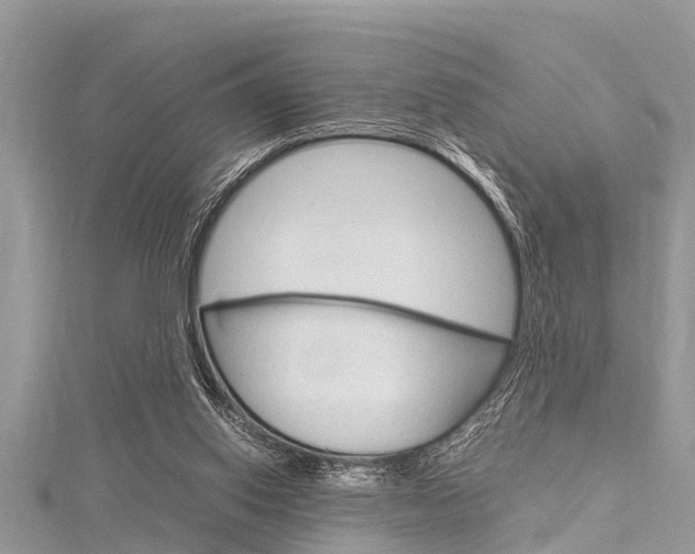 X0000116120062200911230939