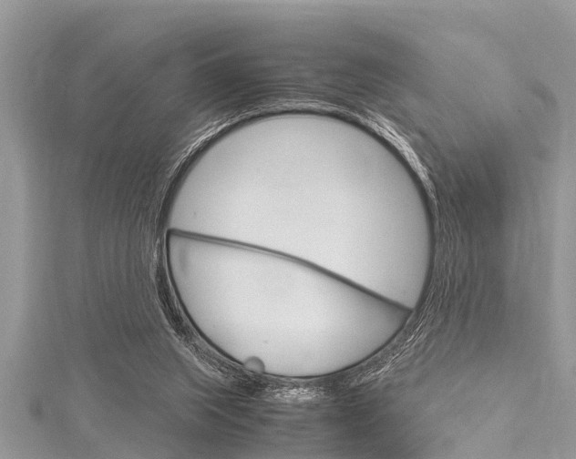 X0000116120063200911230939