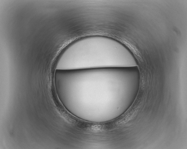 X0000116120064200911230939