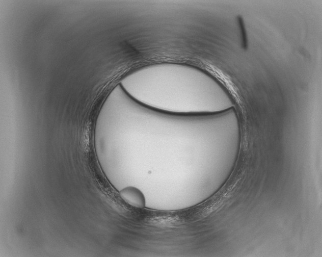 X0000116120065200911230939