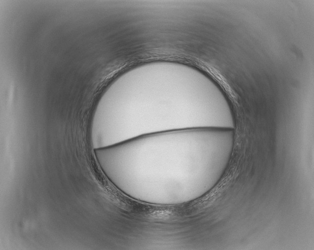 X0000116120066200911230939