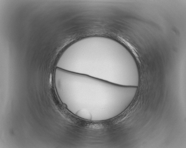 X0000116120067200911230939