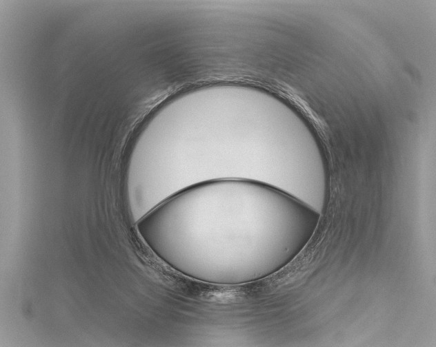 X0000116120068200911230939