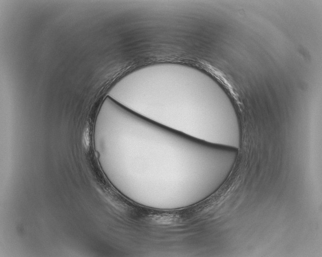 X0000116120069200911230939