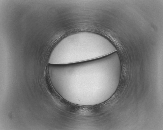 X0000116120070200911230939