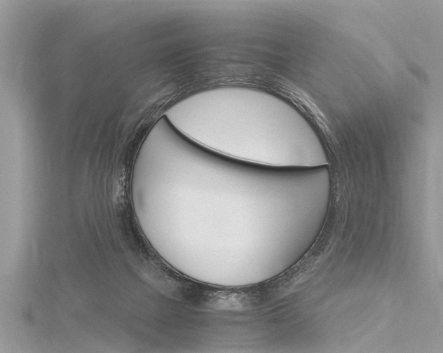 X0000116120073200911230939