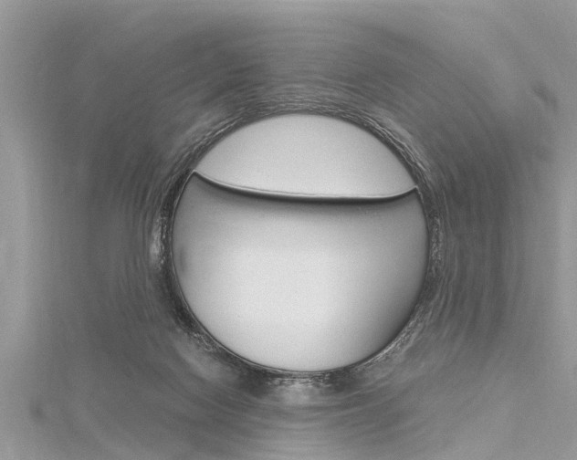 X0000116120074200911230939