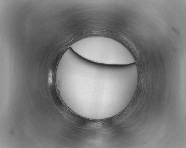 X0000116120075200911230939