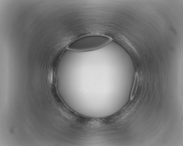 X0000116120076200911230939