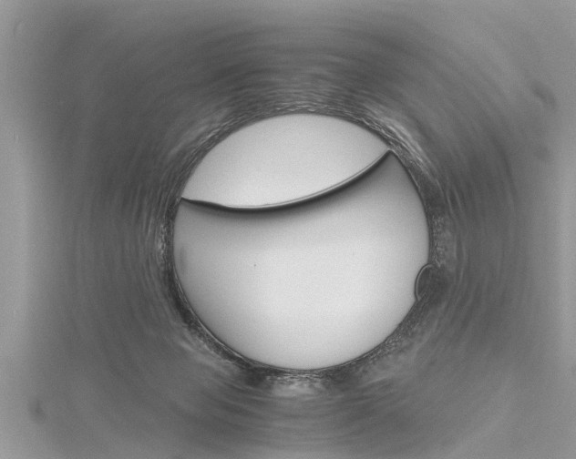 X0000116120077200911230939