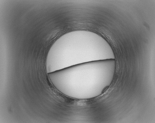 X0000116120078200911230939