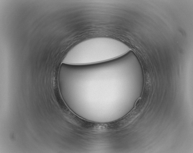 X0000116120080200911230939