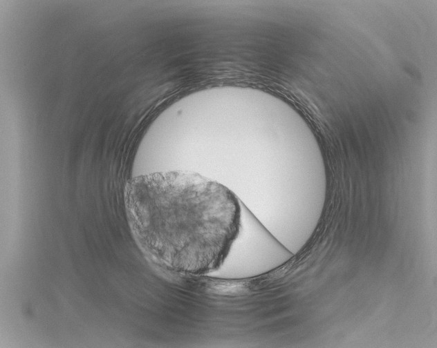 X0000116120081200911230939