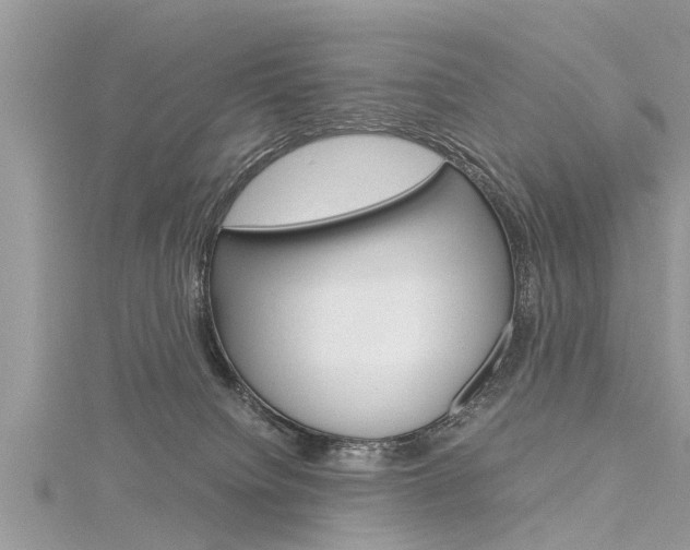 X0000116120084200911230939